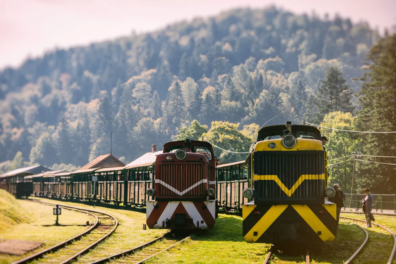 Bieszczadzka Kolejka Leśna Str&oacute;żak