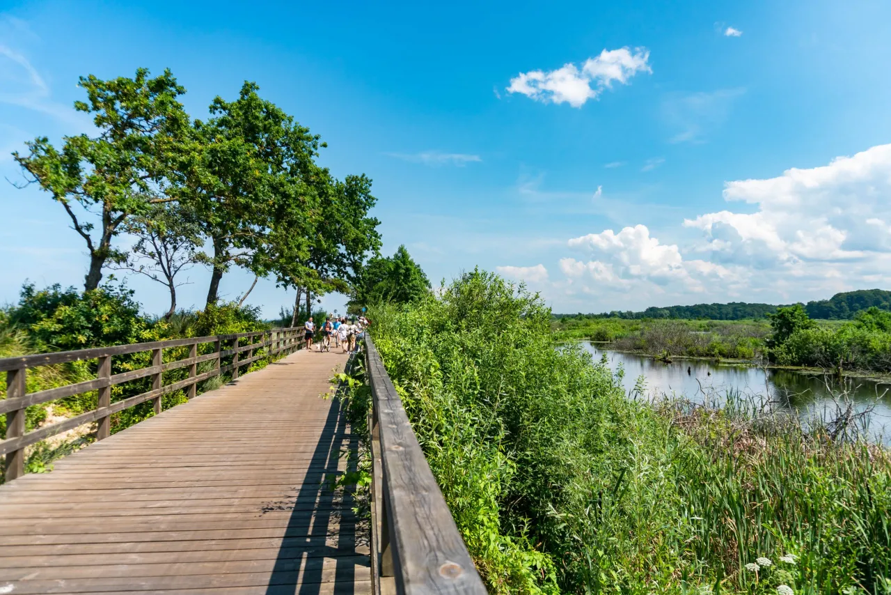 Ekopark Wschodni Kołobrzeg kładki