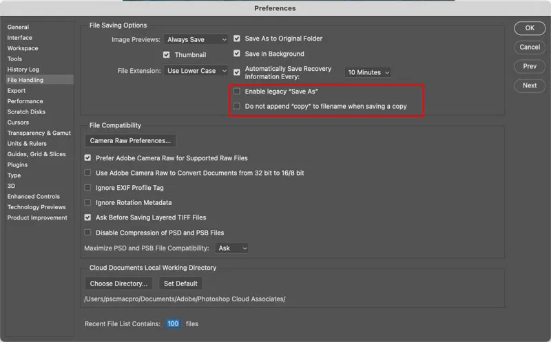 Adobe Photoshop Save a Copy dialog