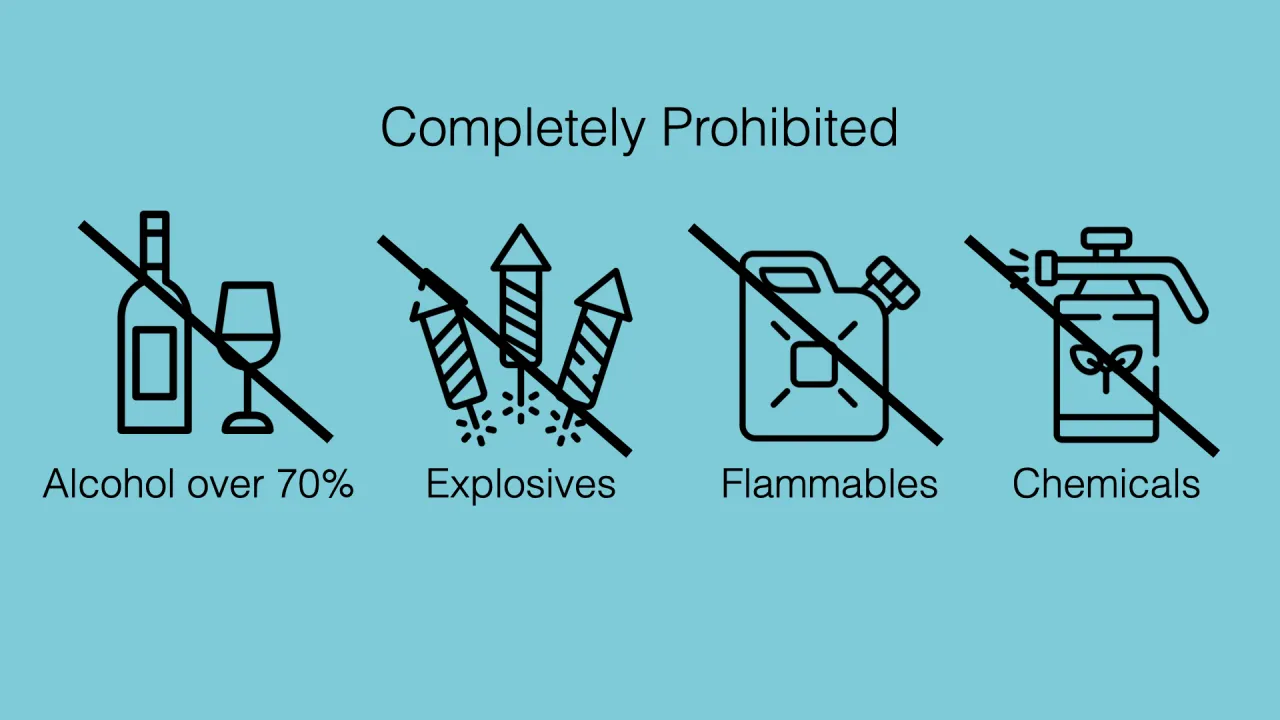 Przedmioty zakazane w bagażu podr&oacute;żnym