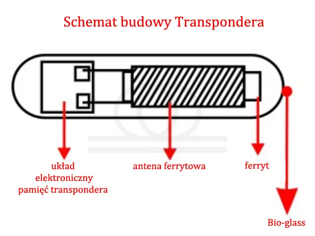 mikrochip dla psa budowa schemat
