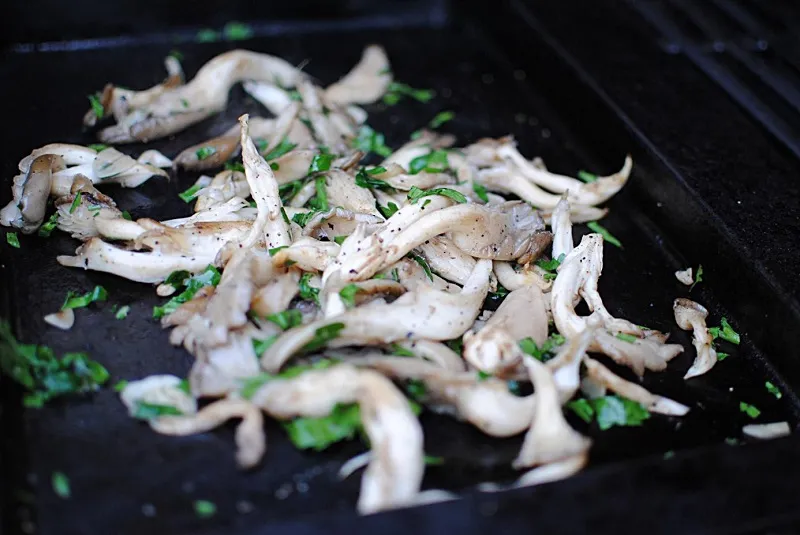 boczniaki na grillu gazowym