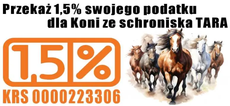 Fundacja Tara schronisko dla koni vs ośrodek jeździecki