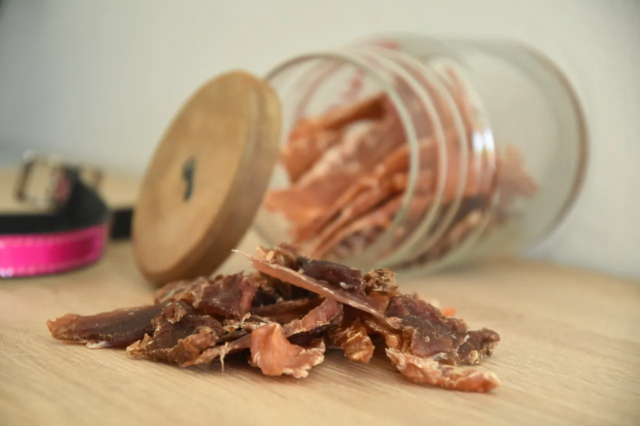 Szczęśliwy pies jedzący domowe suszone mięso