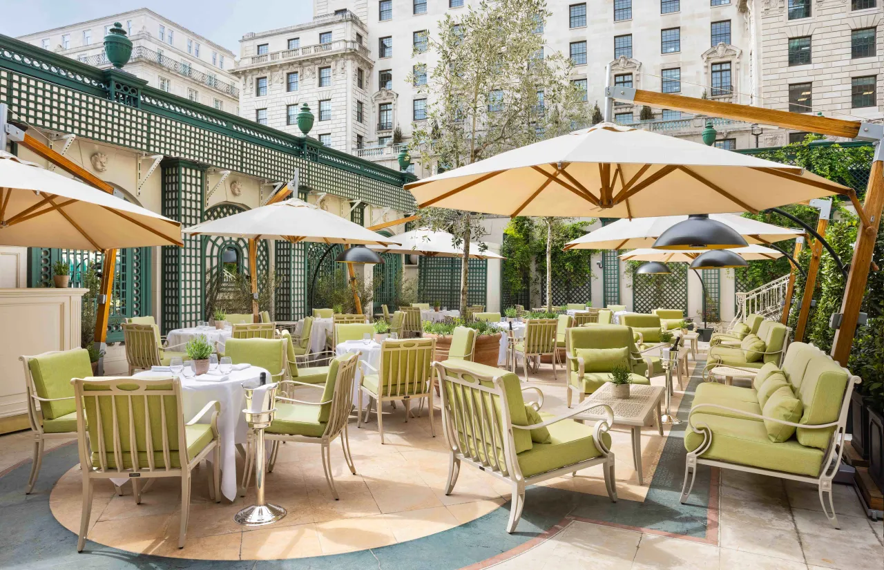 hotel patio furniture and plants