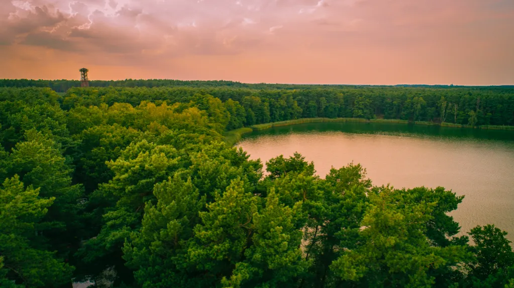 wieża widokowa Joanna Sława