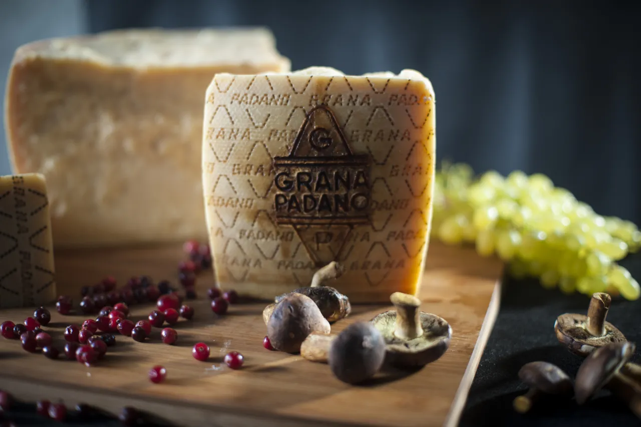 różne rodzaje serów twardych, parmezan grana padano pecorino