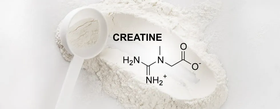 kreatyna bezpieczeństwo mity fakty
