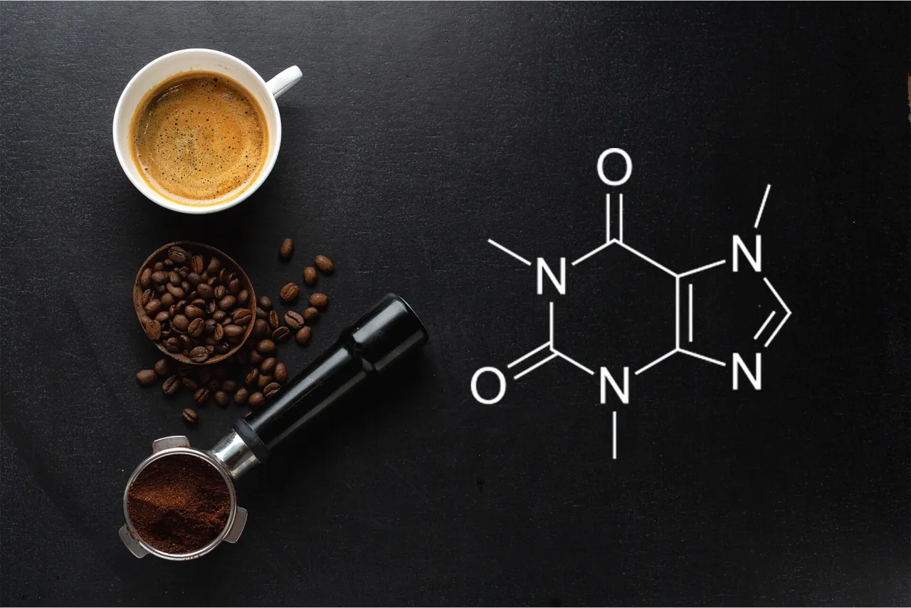 kofeina wpływ na organizm makijaż permanentny