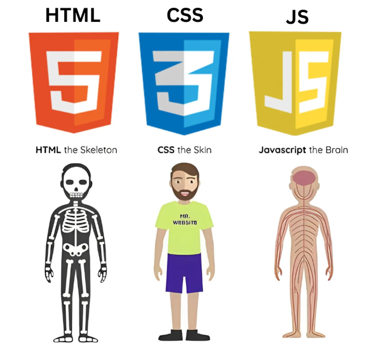 HTML CSS JavaScript wsp&oacute;łpraca