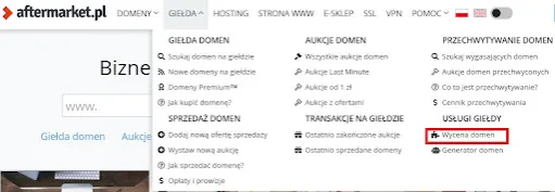 Narzędzia do wyceny domen