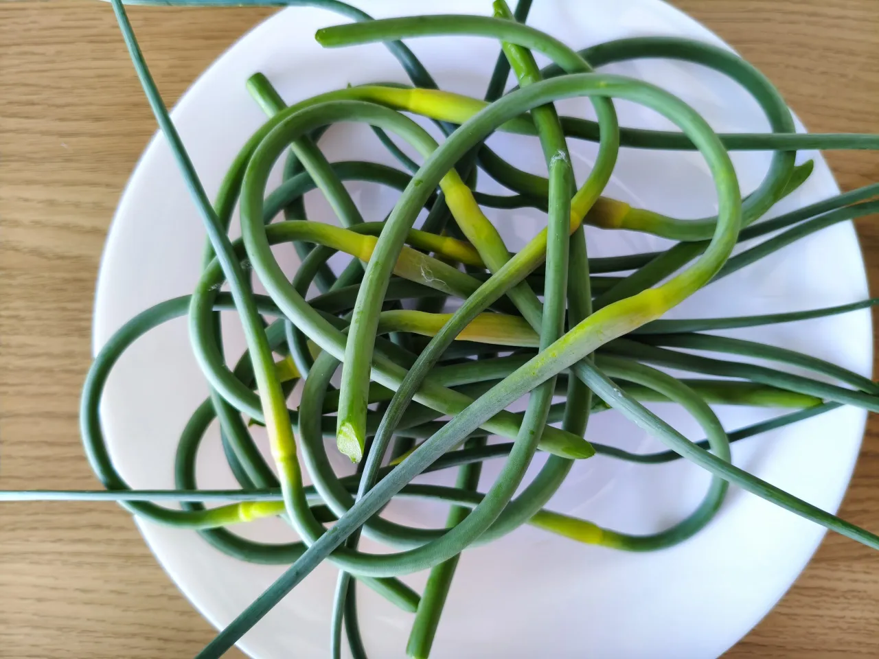 Pęd kwiatostanowy czosnku ozimego