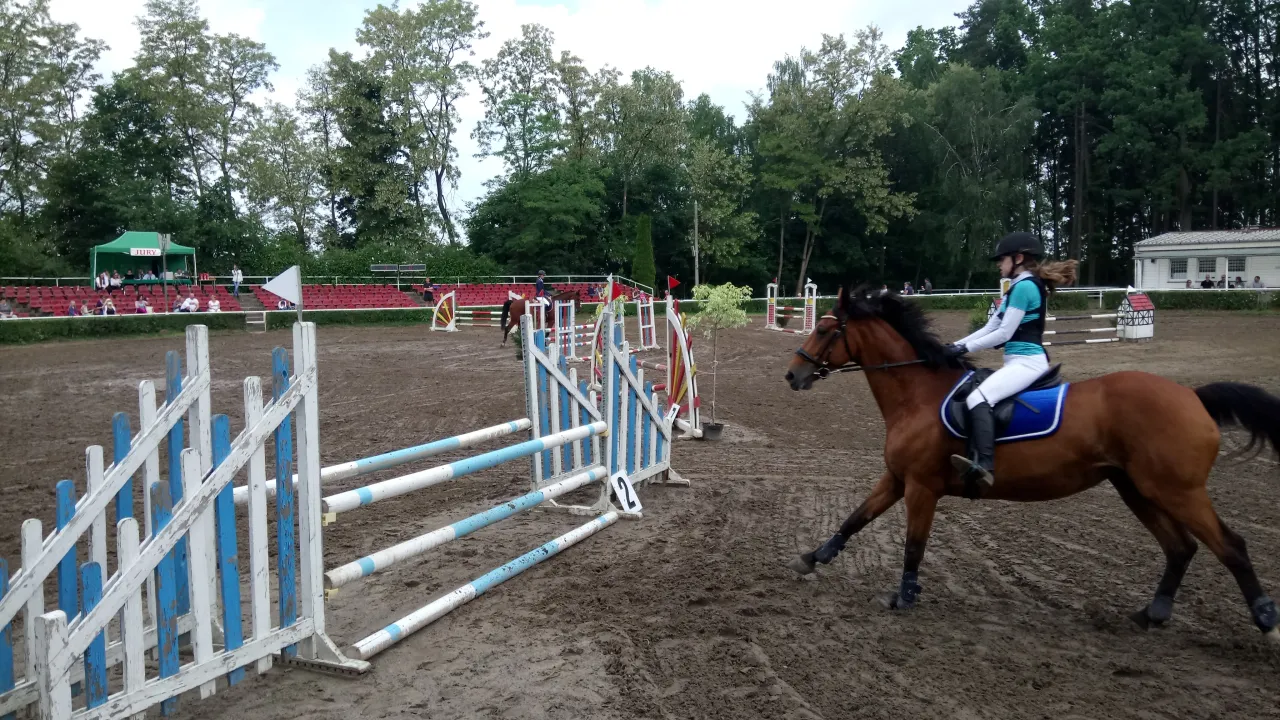 Przeszkody jeździeckie kontrast kolor&oacute;w