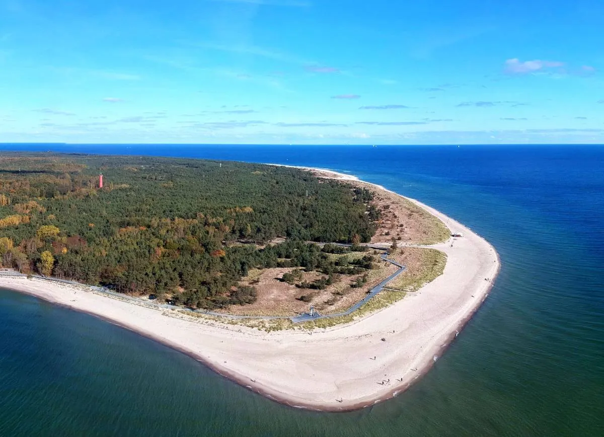 Plaża na cyplu helskim z lasem sosnowym i latarnią morską. Błękitne niebo i morze.