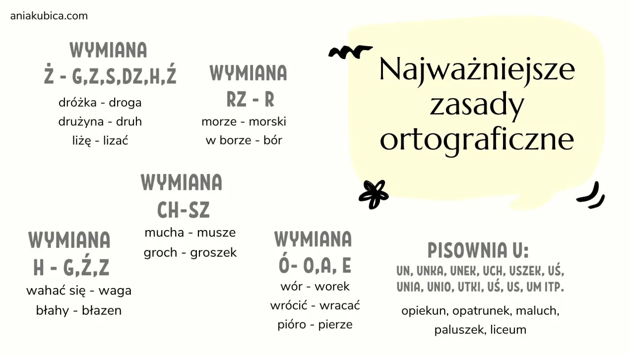 Zdjęcie Kiedy pisać Bałtyk z dużej litery - poznaj aktualne zasady pisowni
