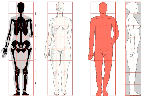 Zdjęcie Körper zeichnen lernen: Die besten Techniken für realistische Proportionen