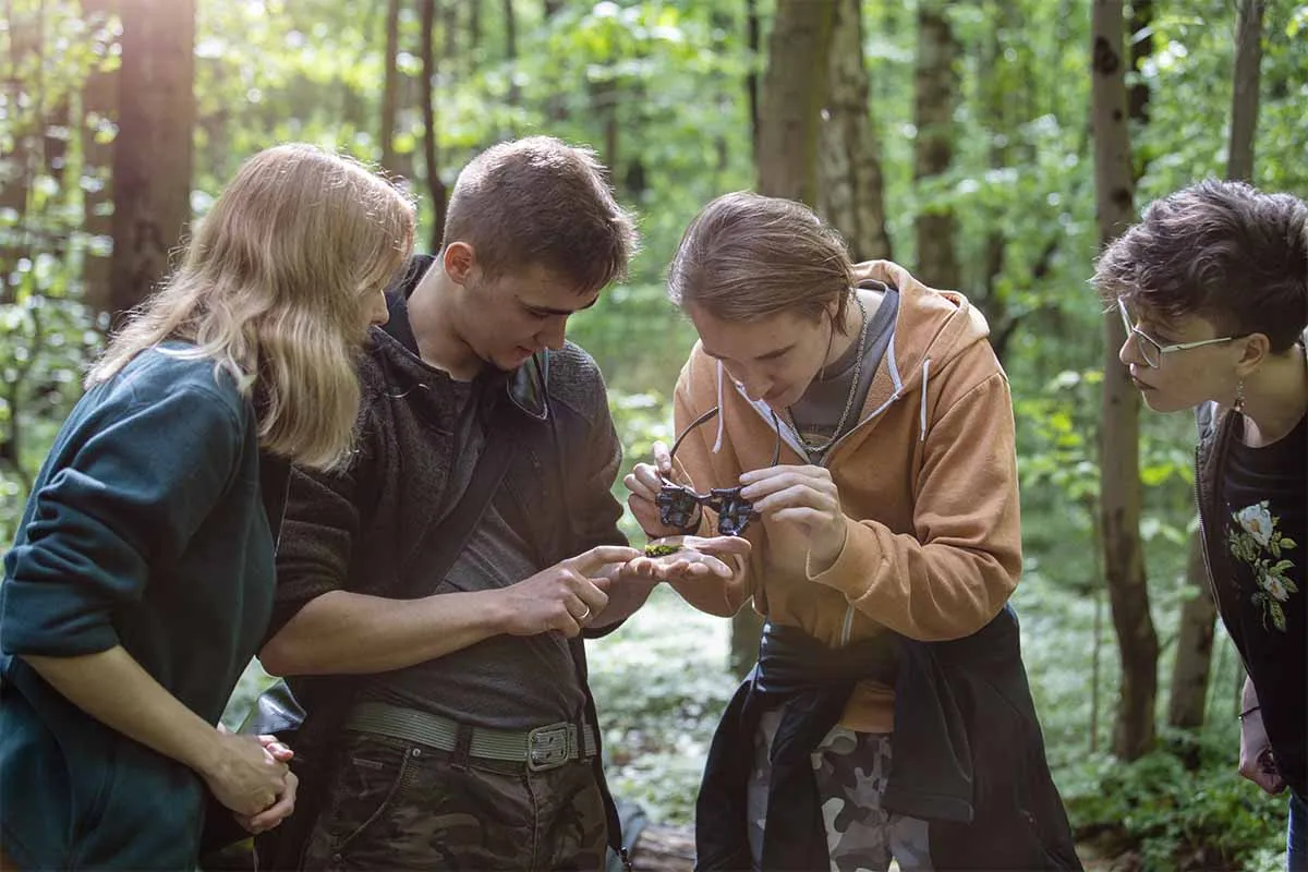 Zdjęcie Praca po studiach w leśnictwie: Jak uniknąć trudności w zatrudnieniu?