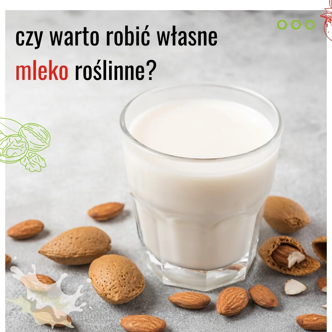 Zdjęcie Napoje roślinne czy są zdrowe? Odkryj ich prawdziwe korzyści zdrowotne