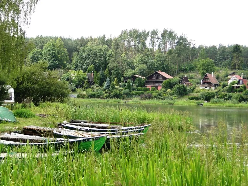 Zdjęcie Jezioro Wysockie - najlepsze miejsce na wypoczynek nad wodą w Gdańsku