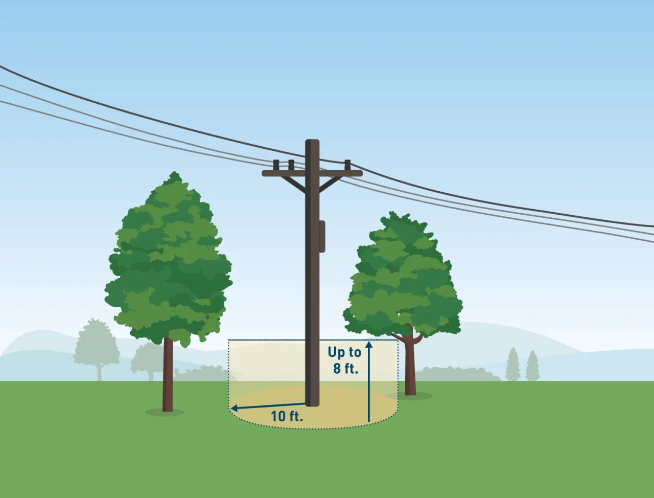 Zdjęcie Jak zgłosić drzewo zagrażające liniom PGE? Szybki przewodnik