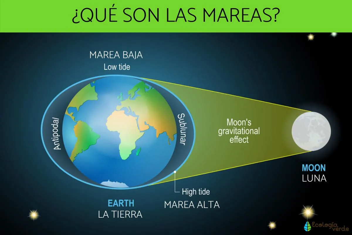 Zdjęcie Cómo funcionan las mareas y qué factores las afectan en el mar