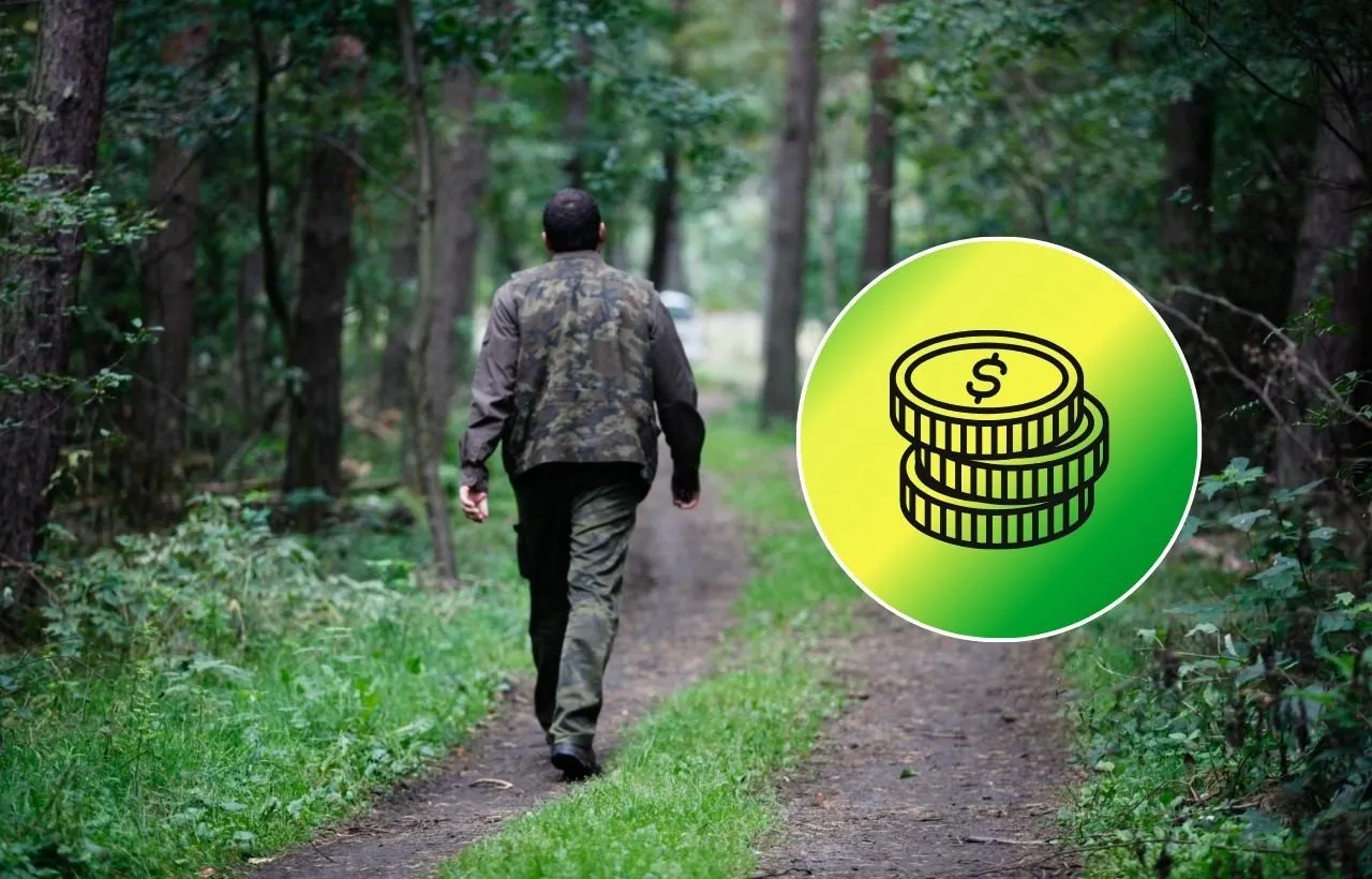 Zdjęcie Ile można zarobić na lesie? Przychody i koszty, które musisz znać