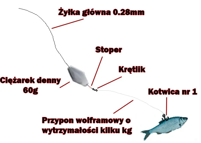 Zdjęcie Najlepsze przynęty na szczupaka: skuteczne metody łowienia