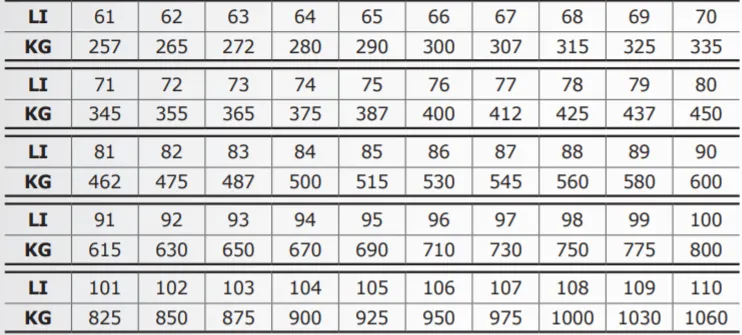 Zdjęcie Der Tragfähigkeitsindex von Reifen: So wählen Sie sicher aus