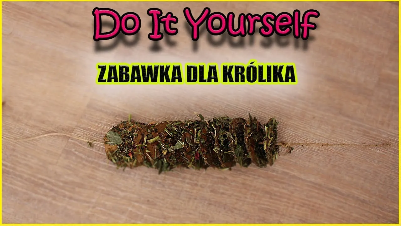 Zdjęcie Jak zrobić zabawki dla królika: proste i bezpieczne pomysły DIY