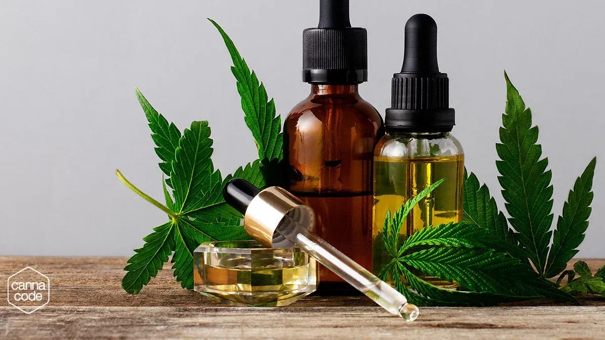 Zdjęcie Jak działa olejek CBD? Zaskakujące efekty i wpływ na zdrowie