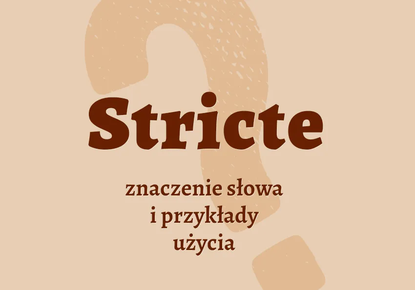 Zdjęcie Sensu stricto czy sensu stricte – odkryj poprawne użycie i różnice