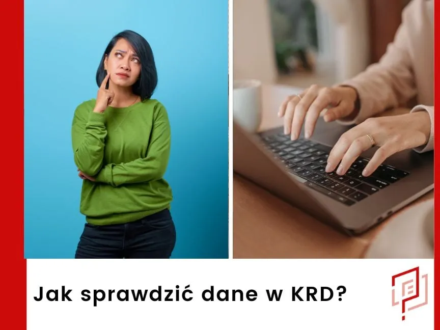 Osoba sprawdzająca dane na komputerze, portal KRD