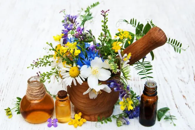 Różne rodzaje ziół i składników do domowych płukanek do włosów