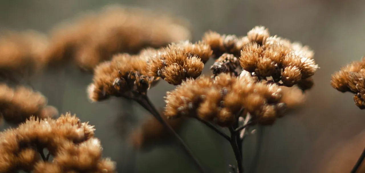 krajobraz fotografia duża głębia ostrości f/11