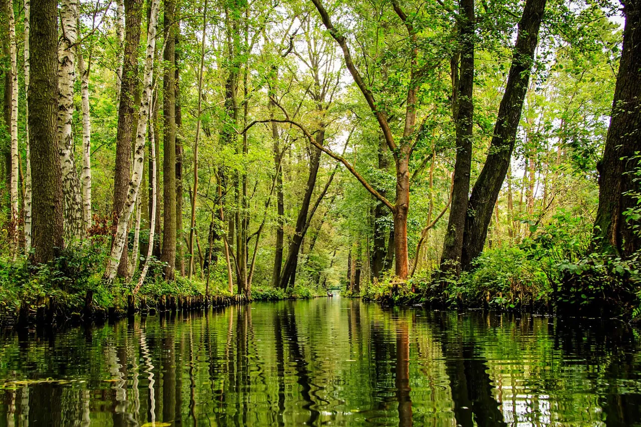 66 Seen Wanderweg Landschaft Brandenburg