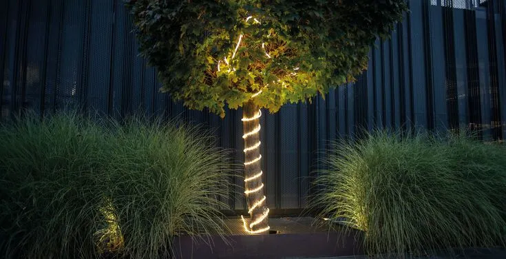 Pomysły na oświetlenie ogrodu