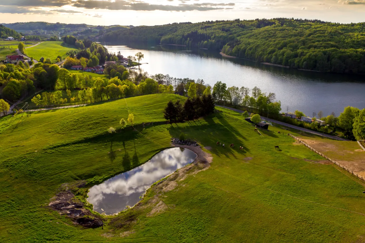 Stajnia Kolano jazda konna teren Kaszuby