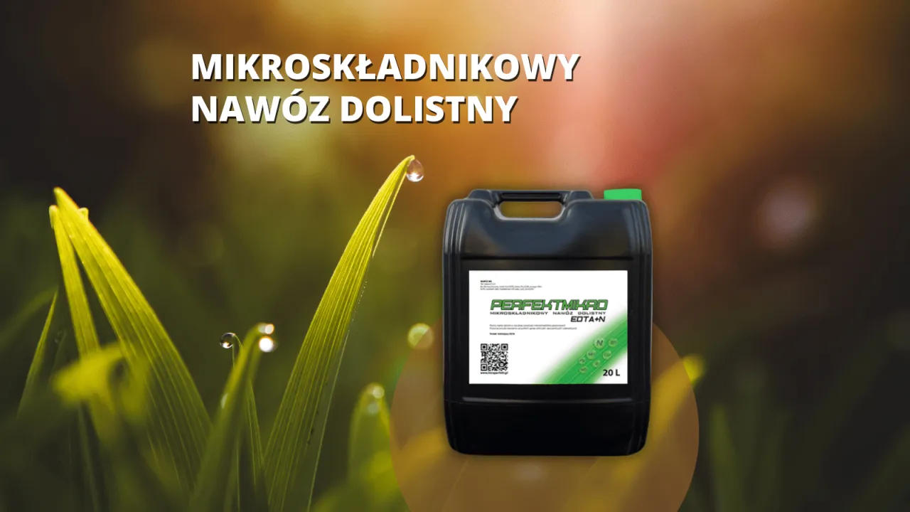 Zdjęcie Jaki nawóz pod pszenicę? Odkryj najlepsze rozwiązania dla plonów