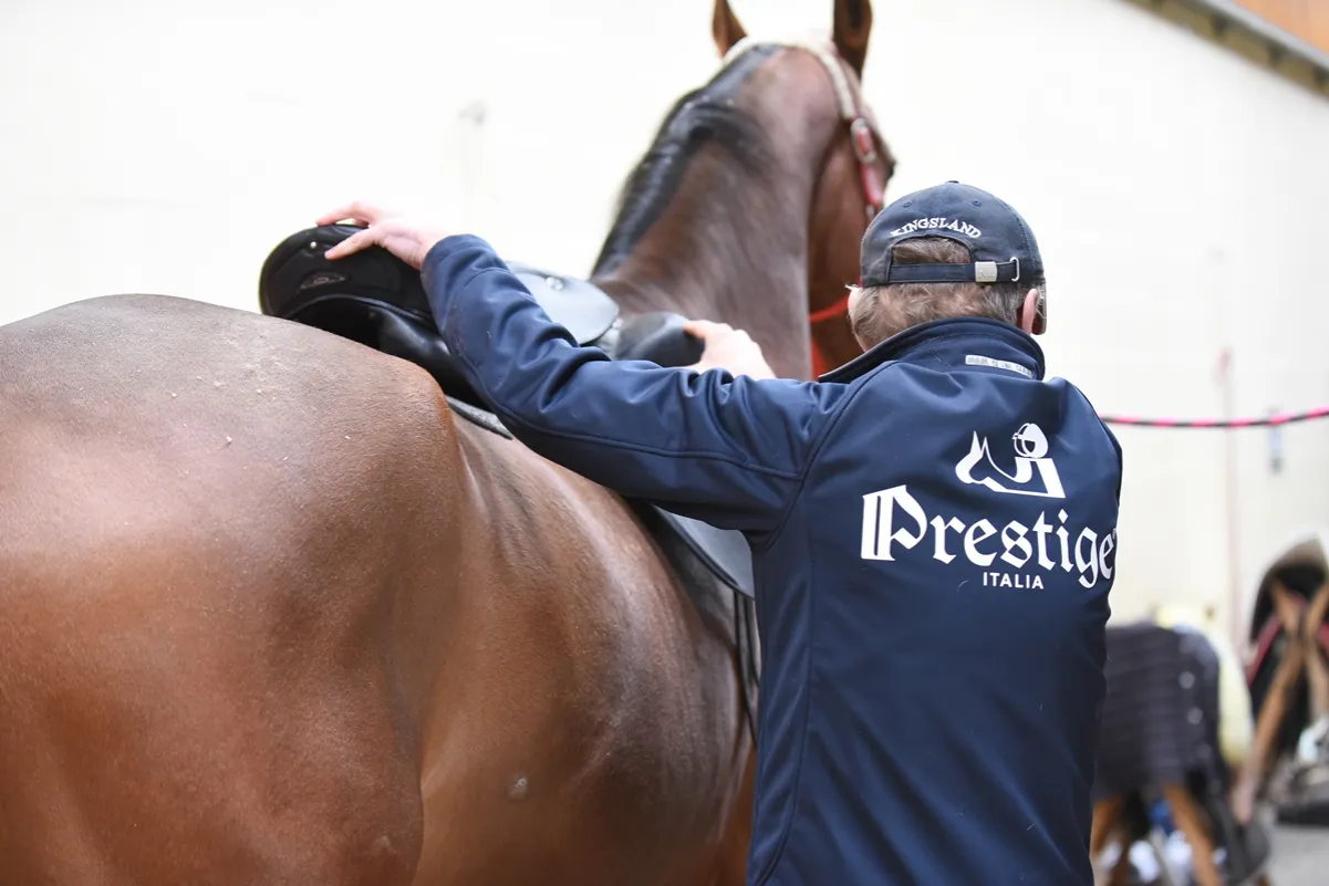 saddle fitter przy pracy