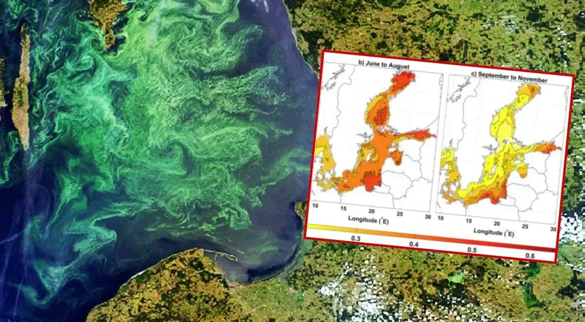 Mapa Morza Bałtyckiego satelitarna