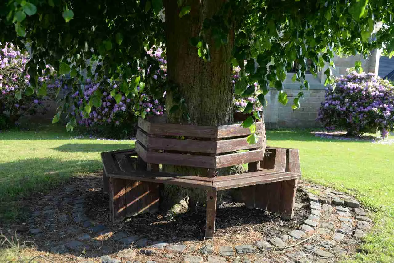 stół wokół drzewa z ławką inspiracje