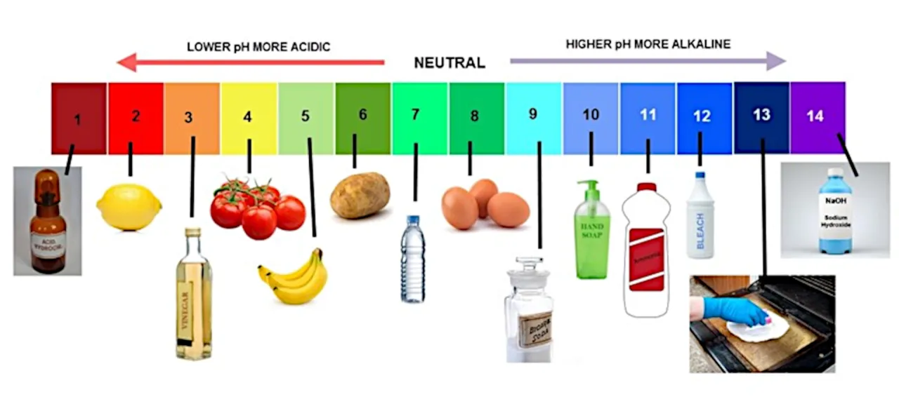 skala pH i odczyn zasadowy