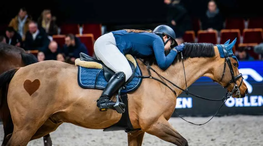 Networking w jeździectwie, portale pracy jeździeckiej