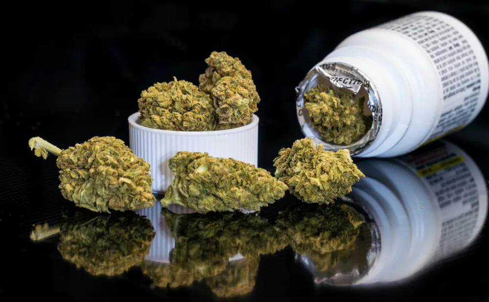 zanieczyszczona marihuana dopalacze