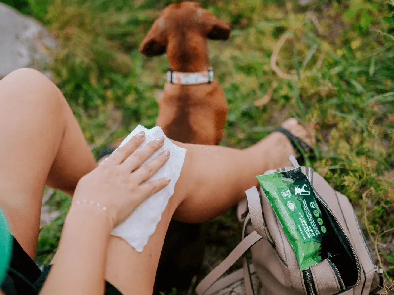 osoba w lesie ubrana ochronnie przed kleszczami
