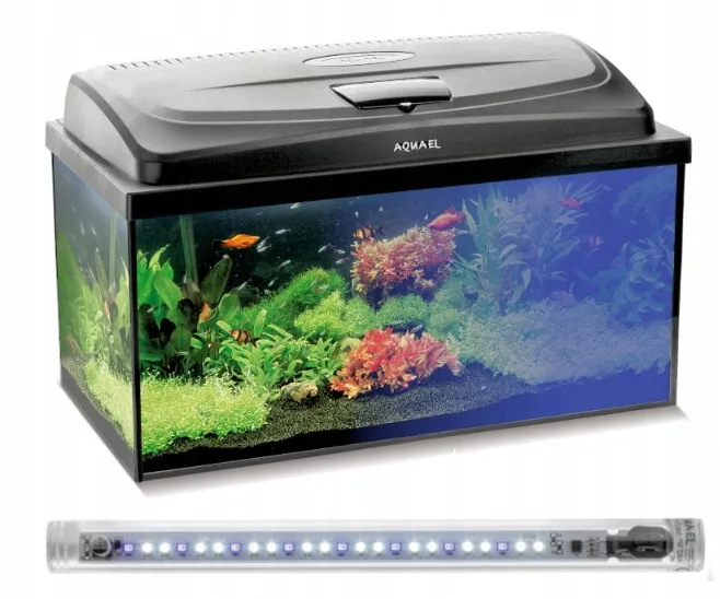 Zdjęcie Akwarium 80x35x40 ile litrów? Zaskakująca pojemność, którą musisz znać