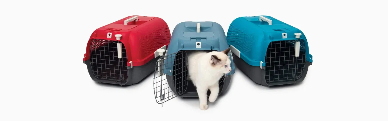 czyszczenie transportera dla kota, transporter dla kota przed oddaniem