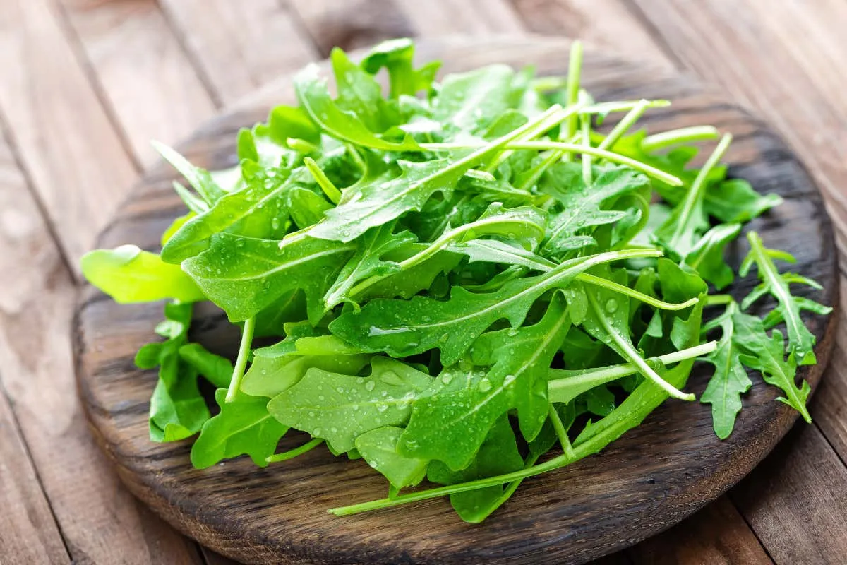 Benefici nutrizionali della rucola