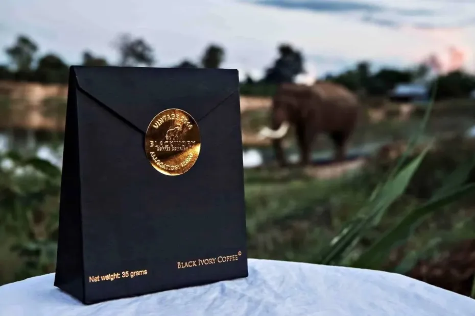 Black Ivory Coffee ziarna i słoń