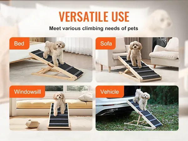 pies korzystający z rampy domowej